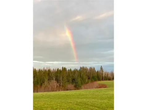 12201 E Haukkila Road Maple WI 54854