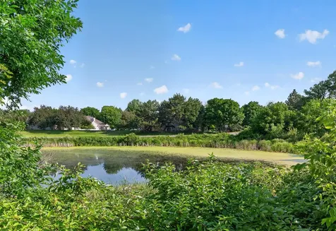 493 Marshland Trail Chanhassen MN 55317