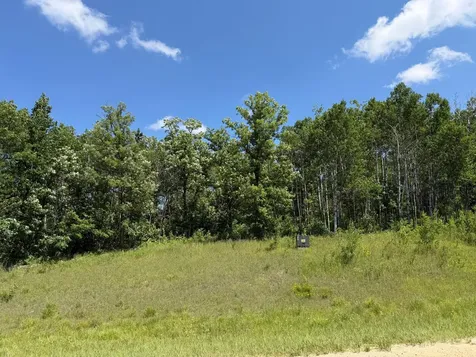 Tbd County 95 Laporte MN 56461