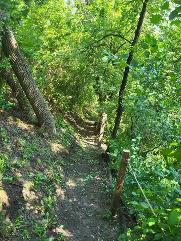 31972 Stalker View Lane Underwood MN 56586