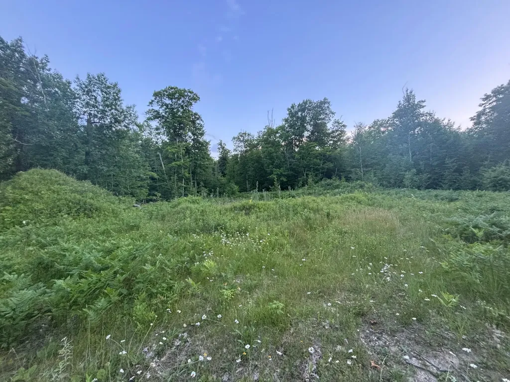 39987 Cass Line Road Laporte MN 56461