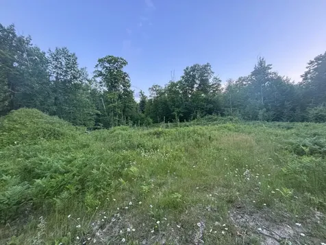 39987 Cass Line Road Laporte MN 56461