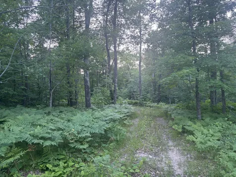 39987 Cass Line Road Laporte MN 56461