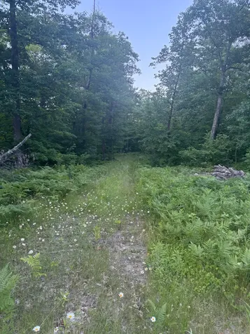 39987 Cass Line Road Laporte MN 56461