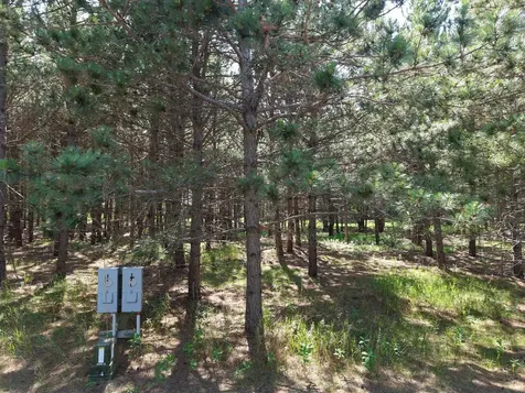 1115 Sunset, Unit 32 Loop Park Rapids MN 56470