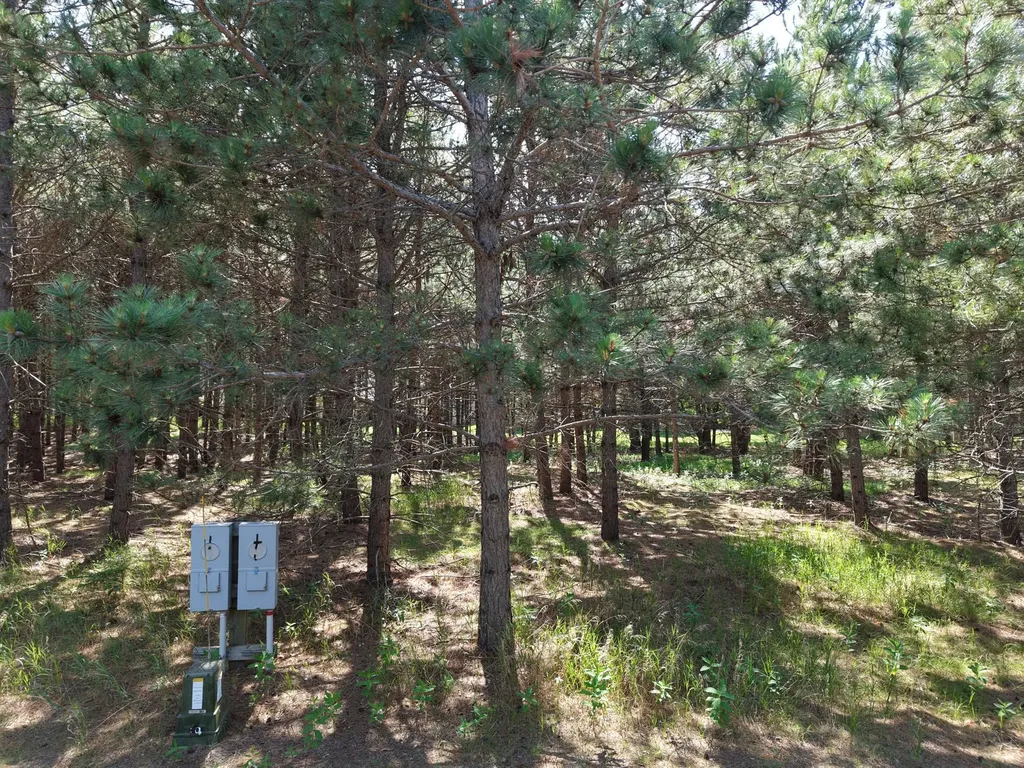 1115 Sunset, Unit 31 Loop Park Rapids MN 56470