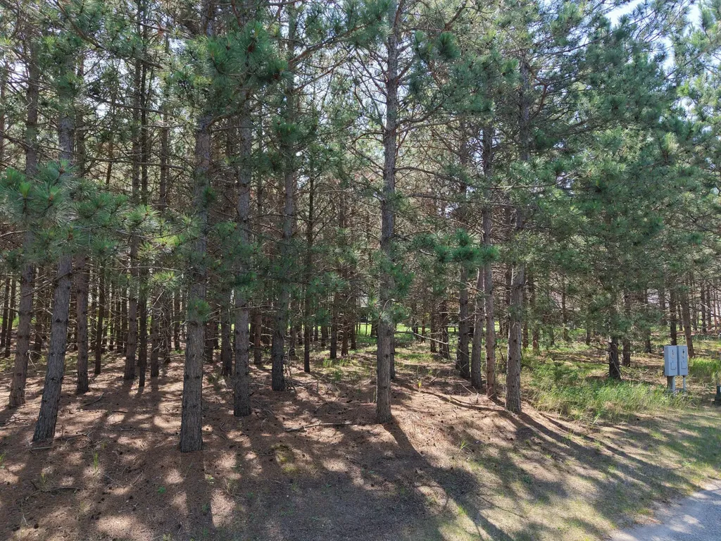 1005 Ladyslipper, Unit 15 Lane Park Rapids MN 56470