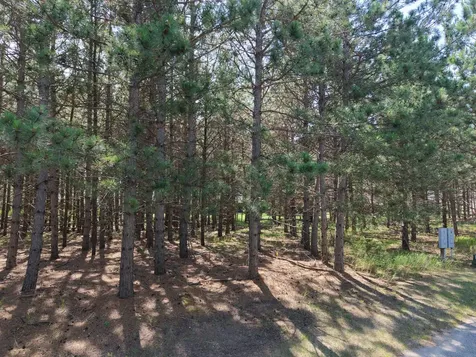 1115 Sunset, Unit 27 Loop Park Rapids MN 56470