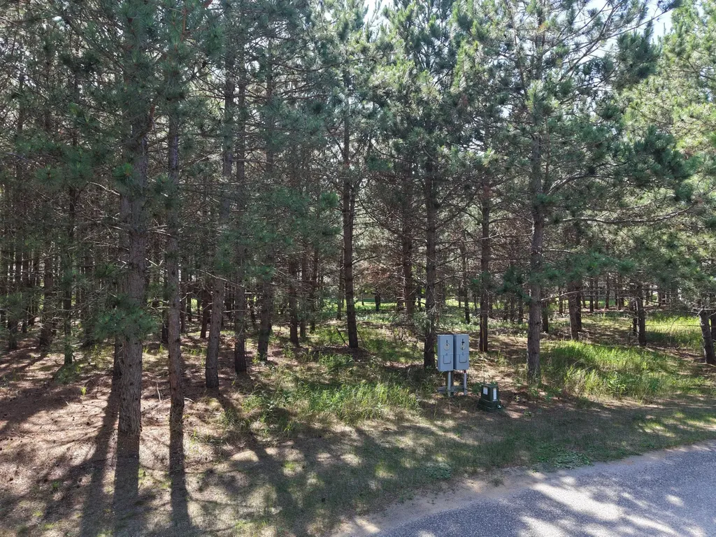 1115 Sunset, Unit 29 Loop Park Rapids MN 56470