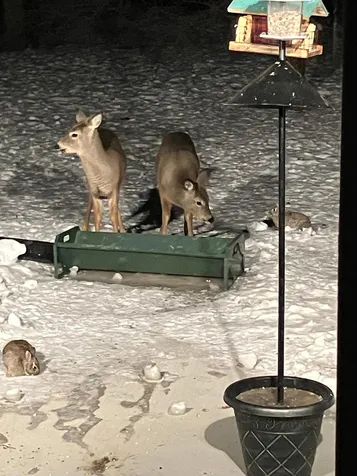 6409 County Road 17 S Horace ND 58047