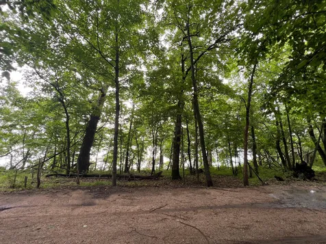 23676 Veitenheimer Road Dalton MN 56324