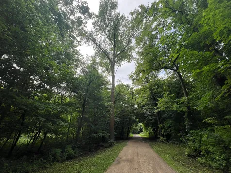 23676 Veitenheimer Road Dalton MN 56324