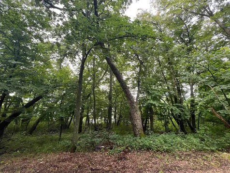 23676 Veitenheimer Road Dalton MN 56324