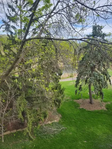 1011 41st Avenue NE Columbia Heights MN 55421