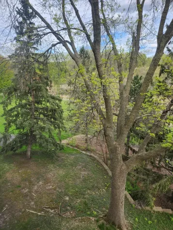 1011 41st Avenue NE Columbia Heights MN 55421
