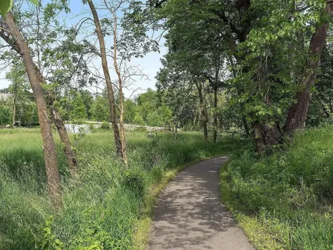 415 Carpenters Point Wayzata MN 55391