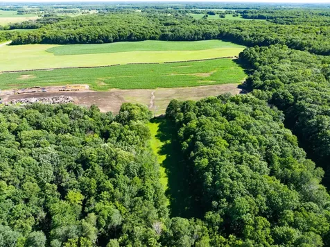 32067 County 3 Eagle Bend MN 56446