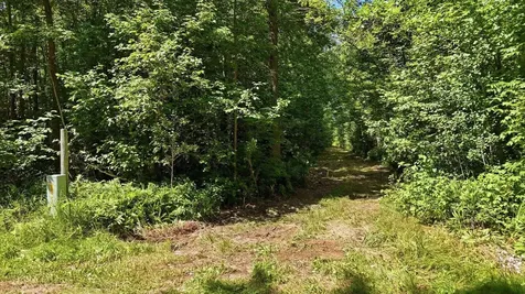 Tbd Guile Lake Road Cohasset MN 55721