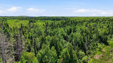 Tbd Guile Lake Road Cohasset MN 55721