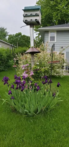 1402 Marie Avenue Albert Lea MN 56007
