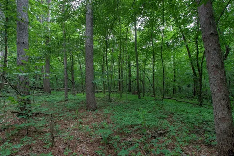 37306 Fjeldheim Road NE Stanchfield MN 55080