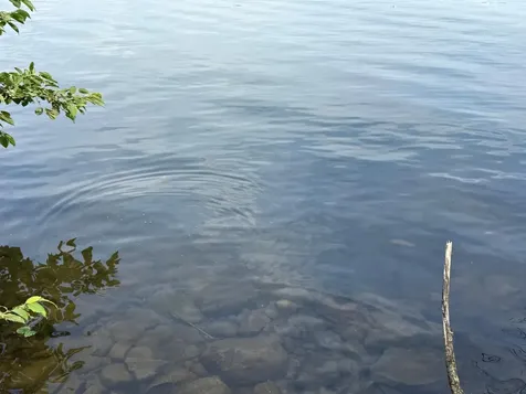 Tbd Long Lake Road Stone Lake WI 54876