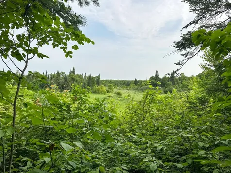38953 Ada Beach Road Waubun MN 56589