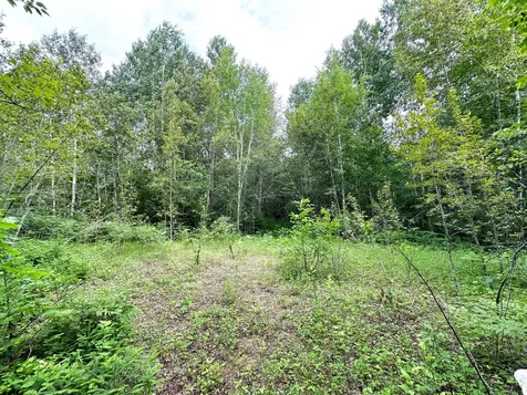 38953 Ada Beach Road Waubun MN 56589