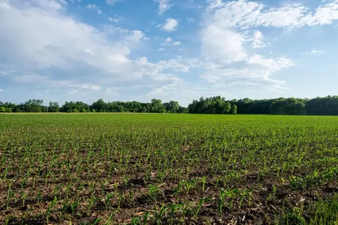 1593 N Pine Cone Road Sartell MN 56377