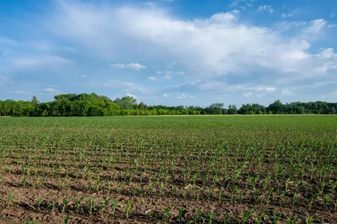 1593 N Pine Cone Road Sartell MN 56377