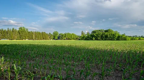 1593 N Pine Cone Road Sartell MN 56377