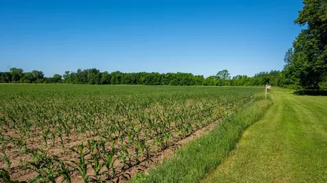 1593 N Pine Cone Road Sartell MN 56377