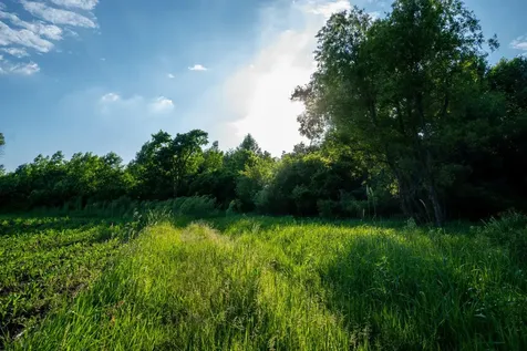 1593 N Pine Cone Road Sartell MN 56377