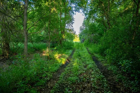 1593 N Pine Cone Road Sartell MN 56377