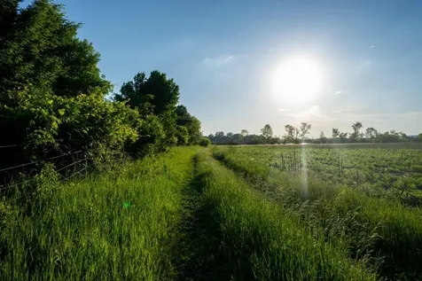 1593 N Pine Cone Road Sartell MN 56377