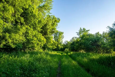 1593 N Pine Cone Road Sartell MN 56377