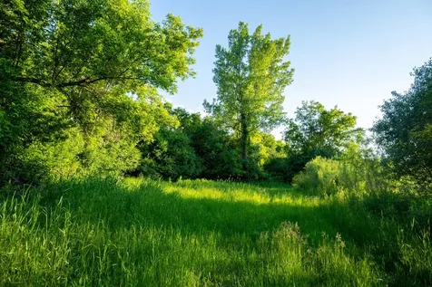 1593 N Pine Cone Road Sartell MN 56377