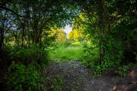1593 N Pine Cone Road Sartell MN 56377