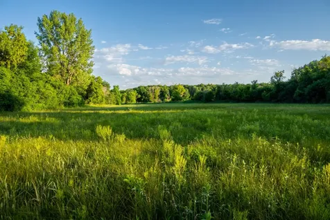 1593 N Pine Cone Road Sartell MN 56377