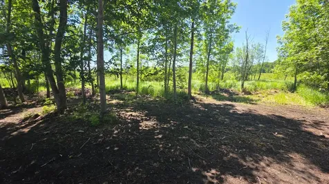 129XX W Abbey Lake Lane Detroit Lakes MN 56501