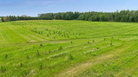 40335 Government Road Hinckley MN 55037