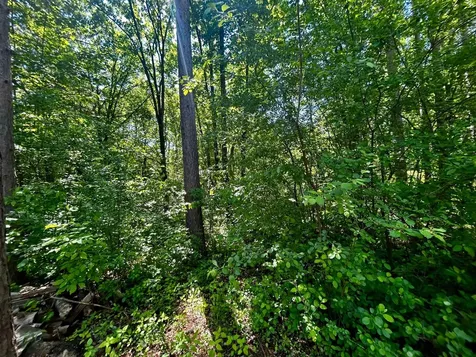 2638 Pine Lane Mora MN 55051