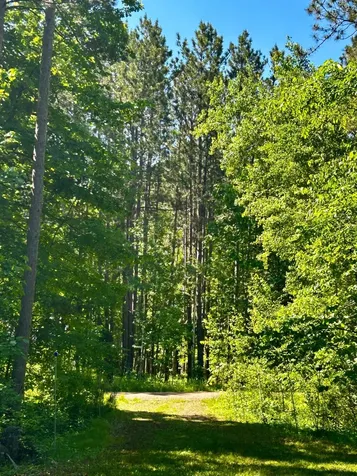 2638 Pine Lane Mora MN 55051