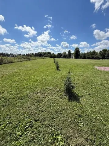 2925 Matthew Drive Windom MN 56101