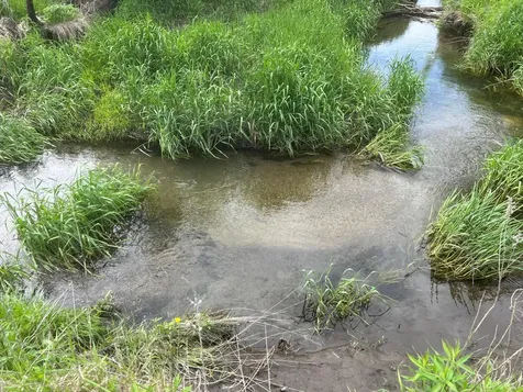 Tbd Highway 56 Le Roy MN 55951