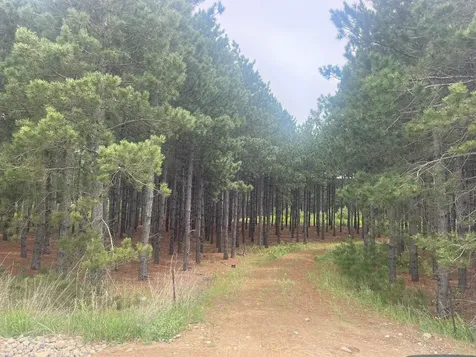 TBD2 County 2 Nevis MN 56467