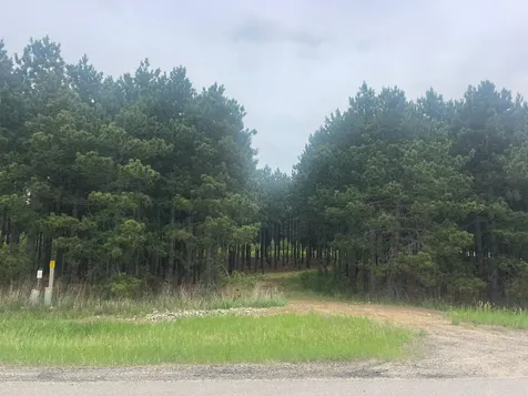 TBD2 County 2 Nevis MN 56467