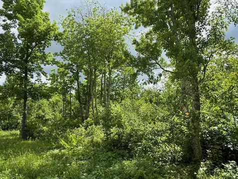 63872 Kingsdale Road Sandstone MN 55072