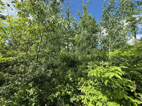 63872 Kingsdale Road Sandstone MN 55072