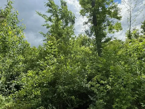 63872 Kingsdale Road Sandstone MN 55072